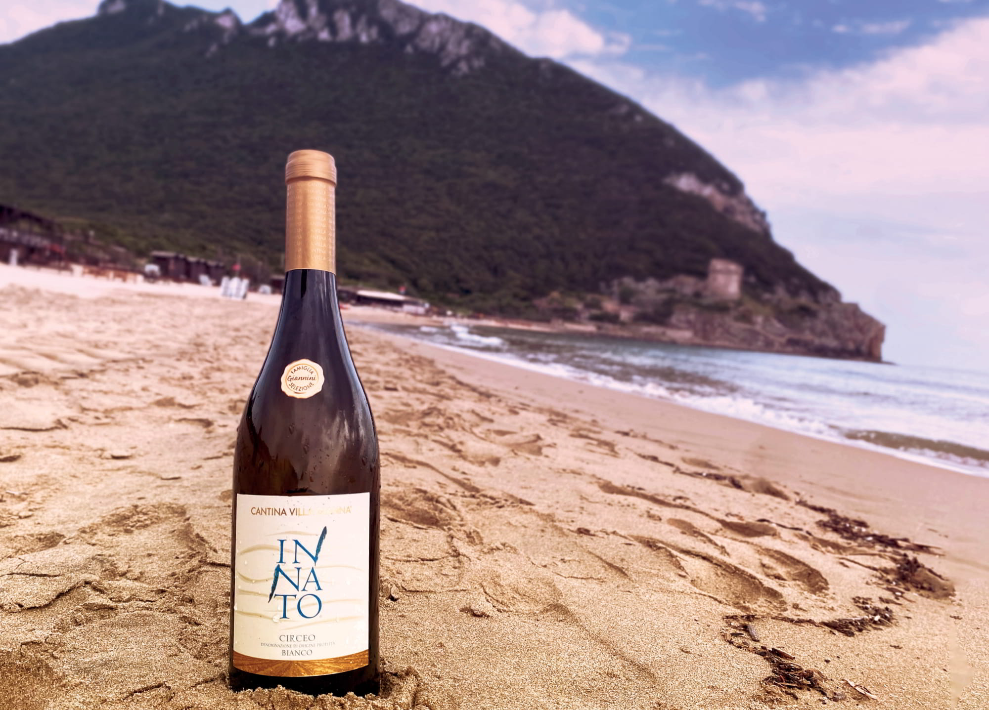 Enoturismo