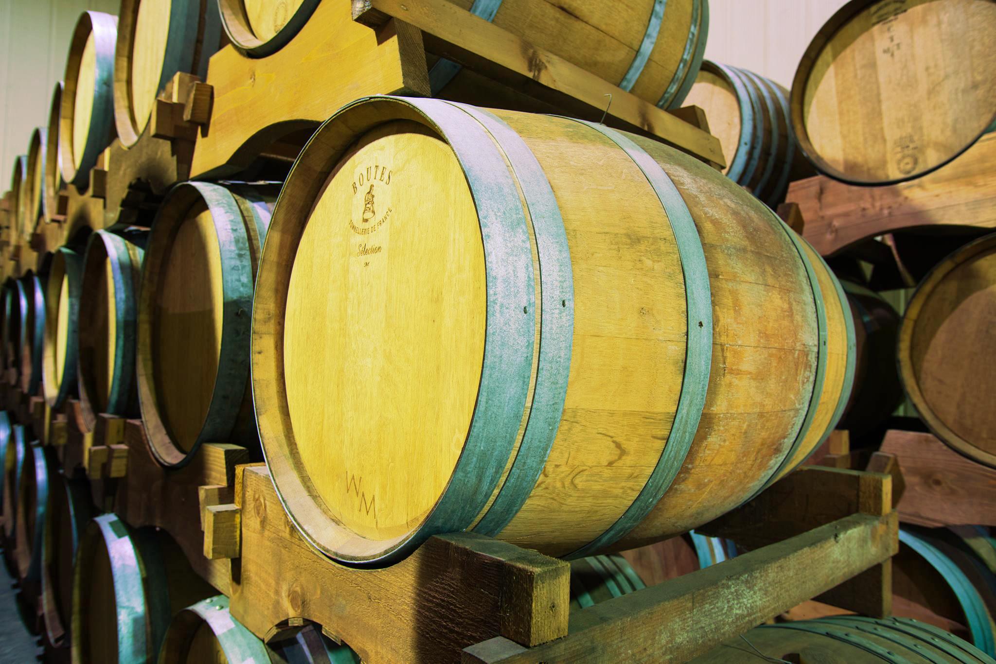 Gli spazi della Cantina Villa Gianna