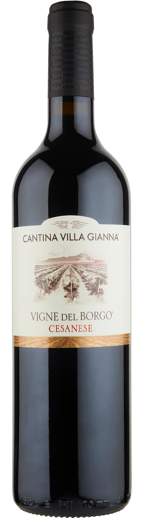 Bottiglia di Vigne del Borgo Cesanese